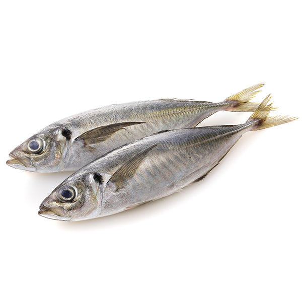 Horse Mackerel from Everfresh, your African supermarket in Milton Keynes