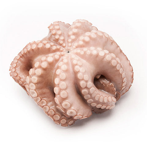 Whole Round Octopus - African Groceries | Everfresh Butchers
