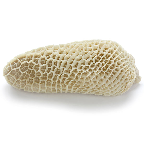 Beef Honeycomb Tripe from Everfresh, your African supermarket in Milton Keynes