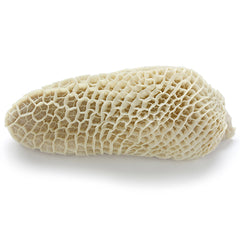 Beef Honeycomb Tripe from Everfresh, your African supermarket in Milton Keynes