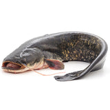 Catfish from Everfresh, your African supermarket in Milton Keynes
