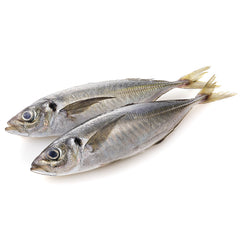 Horse Mackerel from Everfresh, your African supermarket in Milton Keynes