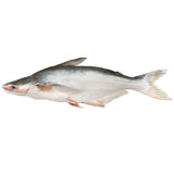 Whole Pangasius/Malangwa Fish