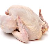 Medium Chicken from Everfresh, your African supermarket in Milton Keynes